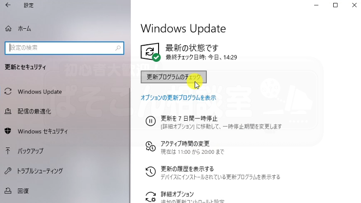 Windows_10_11_Version_007