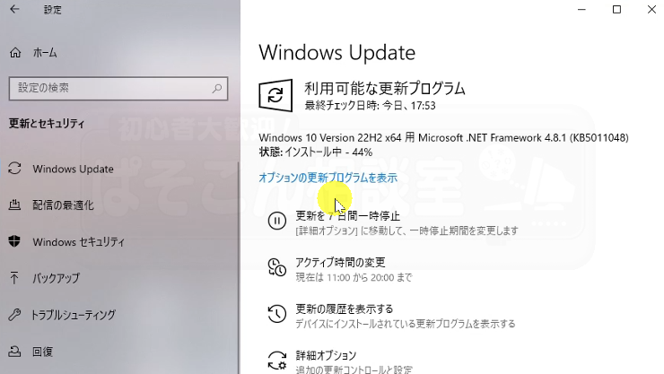 Windows_10_11_Version_008
